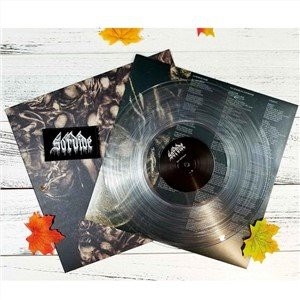 Transparent Vinyl Record LP Pessing